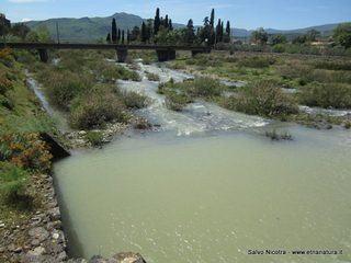 rrente Saracena-26-04-2014 17-10-22